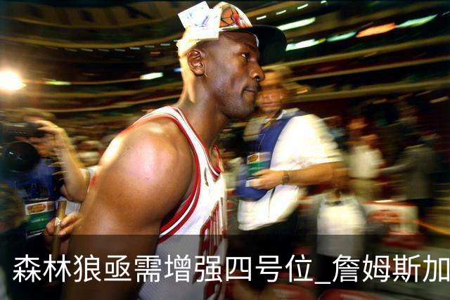 森林狼亟需增强四号位 詹姆斯加盟将助力争冠